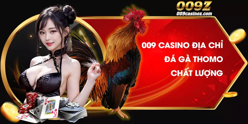 009 Casino là địa chỉ đá gà Thomo chất lượng